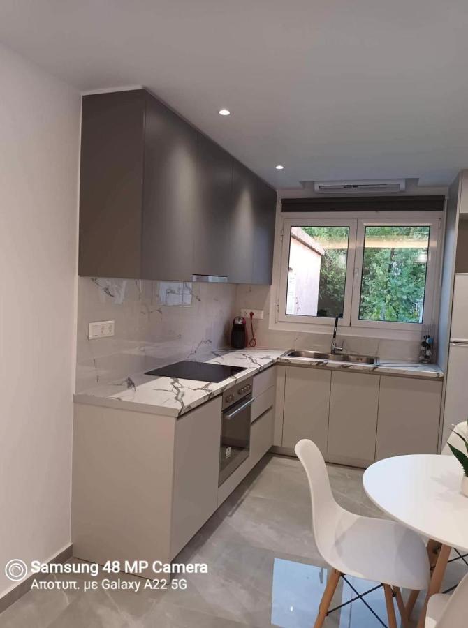 Oresti'S Villa Near Airport & Beach أرتيميدا المظهر الخارجي الصورة